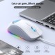 Onikuma CW918 Mouse RGB USB Cat Paw White