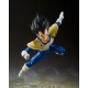 Dragon Ball Z - Vegeta - S.H.Figuarts - 24000 Power Level