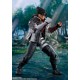 Tekken 8 - Kazama Jin - S.H.Figuarts